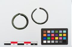 Foto von Bronzering (NHMW-PRAE-024296)